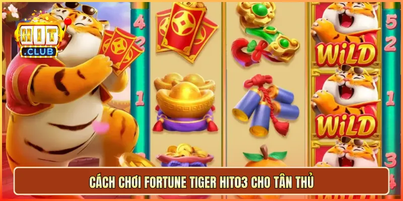 Cách chơi Fortune Tiger hit03 cho tân thủ