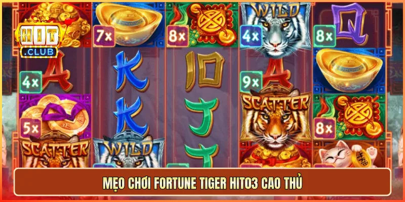 Mẹo chơi Fortune Tiger hit03 cao thủ