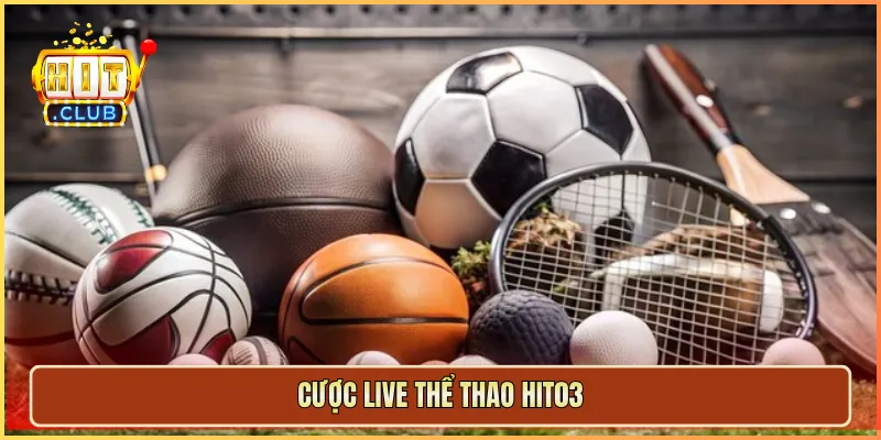 Cược live thể thao hit03
