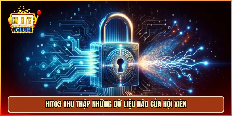 Hit03 thu thập những dữ liệu nào của hội viên